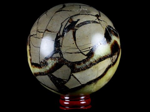XXL 84MM Septarian Dragon Stone Vug Sphere Mineral Healing Madagascar Stand - Fossil Age Minerals