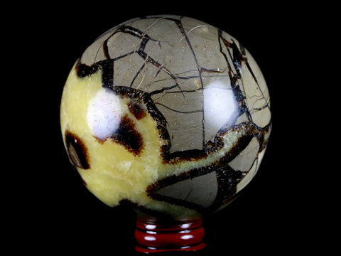 XXL 84MM Septarian Dragon Stone Vug Sphere Mineral Healing Madagascar Stand - Fossil Age Minerals
