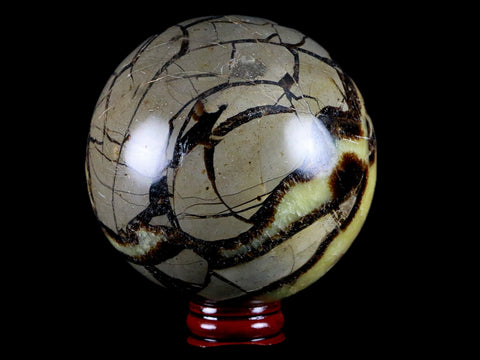 XXL 84MM Septarian Dragon Stone Vug Sphere Mineral Healing Madagascar Stand - Fossil Age Minerals
