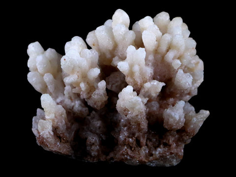 1.9" Aragonite Cave Calcite Crystal Cluster Mineral Specimen 1.8 OZ Morocco - Fossil Age Minerals