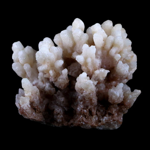 1.9" Aragonite Cave Calcite Crystal Cluster Mineral Specimen 1.8 OZ Morocco - Fossil Age Minerals
