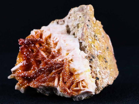 Sparkly Orange Vanadinite Crystals On Orange Barite Blades Mineral Morocco - Fossil Age Minerals