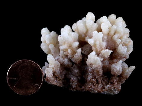 1.9" Aragonite Cave Calcite Crystal Cluster Mineral Specimen 1.8 OZ Morocco - Fossil Age Minerals