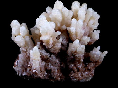 1.9" Aragonite Cave Calcite Crystal Cluster Mineral Specimen 1.8 OZ Morocco
