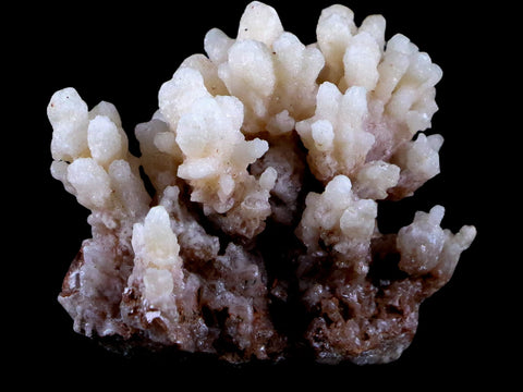 1.9" Aragonite Cave Calcite Crystal Cluster Mineral Specimen 1.8 OZ Morocco - Fossil Age Minerals