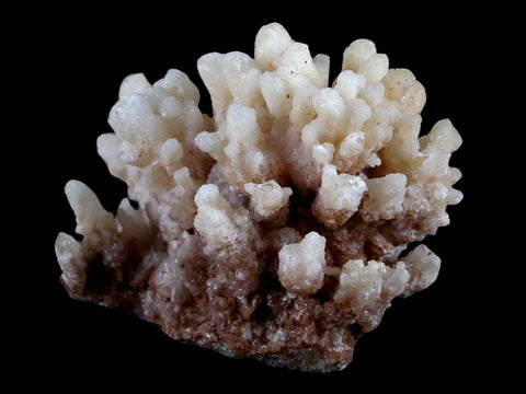 1.9" Aragonite Cave Calcite Crystal Cluster Mineral Specimen 1.8 OZ Morocco - Fossil Age Minerals