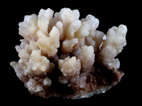1.9" Aragonite Cave Calcite Crystal Cluster Mineral Specimen 1.8 OZ Morocco - Fossil Age Minerals