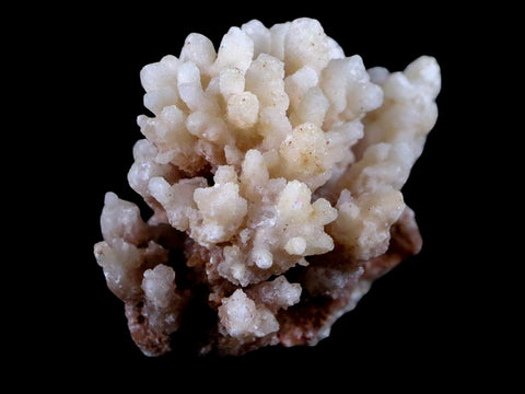 1.9" Aragonite Cave Calcite Crystal Cluster Mineral Specimen 1.8 OZ Morocco - Fossil Age Minerals