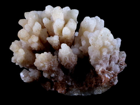 1.9" Aragonite Cave Calcite Crystal Cluster Mineral Specimen 1.8 OZ Morocco - Fossil Age Minerals