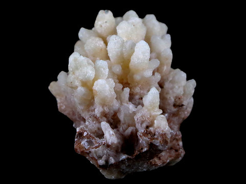 1.9" Aragonite Cave Calcite Crystal Cluster Mineral Specimen 1.8 OZ Morocco - Fossil Age Minerals
