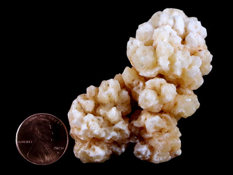 2.6" Aragonite Cave Calcite Crystal Cluster Mineral Specimen 3.1 OZ Morocco - Fossil Age Minerals