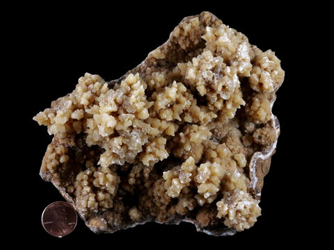 5.5" Aragonite Cave Calcite Crystal Cluster Mineral Specimen 1 LB 5.7 OZ Morocco - Fossil Age Minerals