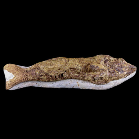 9" Fish Fossil In Matrix Cretaceous Dinosaur Age Atlas Mountains Goulmima Morocco - Fossil Age Minerals