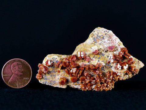 2.6" Sparkly Druzy Red Vanadinite Crystals Cluster Mineral Specimen Morocco - Fossil Age Minerals