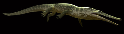 0.9" Champsosaurus Gigas Reptile Vertebra Cretaceous Hell Creek MT COA & Stand - Fossil Age Minerals