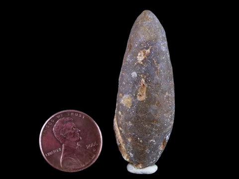 1.9" Fossil Pine Cone Equicalastrobus Replaced By Agate Eocene Seeds Fruit - Fossil Age Minerals
