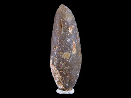 1.9" Fossil Pine Cone Equicalastrobus Replaced By Agate Eocene Seeds Fruit