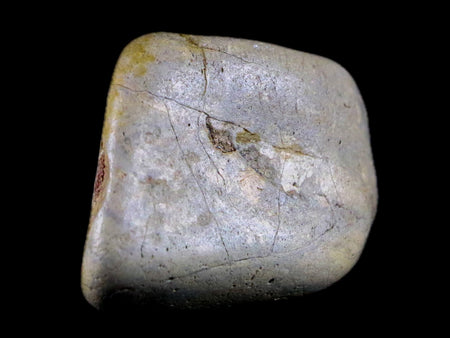 1.8" Sauropod Dinosaur Stomach Stone Gastrolith Rock Gizzard Stone 1.6 OZ COA
