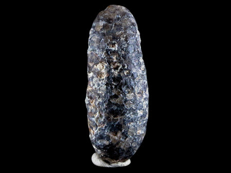 1.8" Fossil Pine Cone Equicalastrobus Replaced By Agate Eocene Age Seeds Fruit
