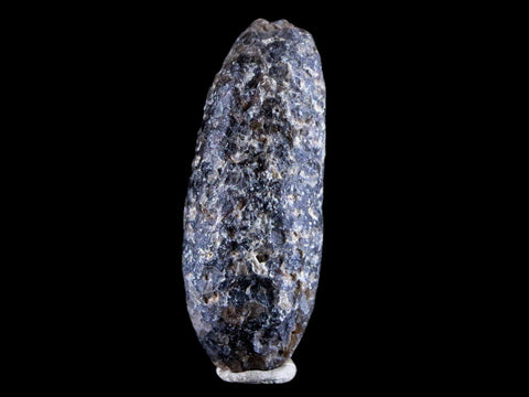 1.8" Fossil Pine Cone Equicalastrobus Replaced By Agate Eocene Age Seeds Fruit - Fossil Age Minerals