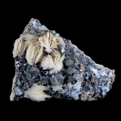 Galena Mineral Collection