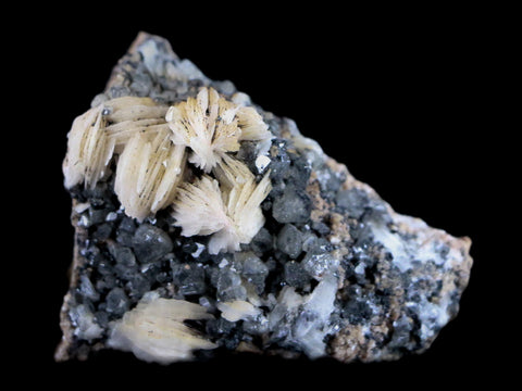 2.1" White Barite, Cerussite & Galena Crystal Mineral Mabladen Morocco 3.4 OZ - Fossil Age Minerals